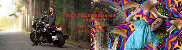 соль ск Сосновка