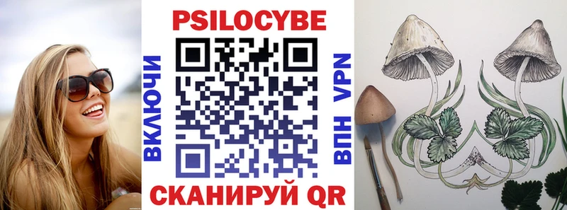 как найти закладки  Бутурлиновка  Галлюциногенные грибы Psilocybe 