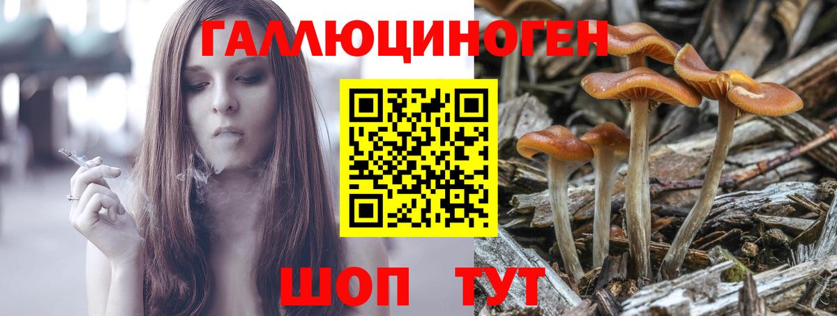 Псилоцибиновые грибы мицелий  Вход с VPN  Бутурлиновка  Галлюциногенные грибы Psilocybe 